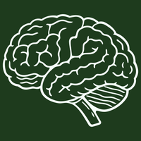 <strong>Fokus / Klarheit</strong>